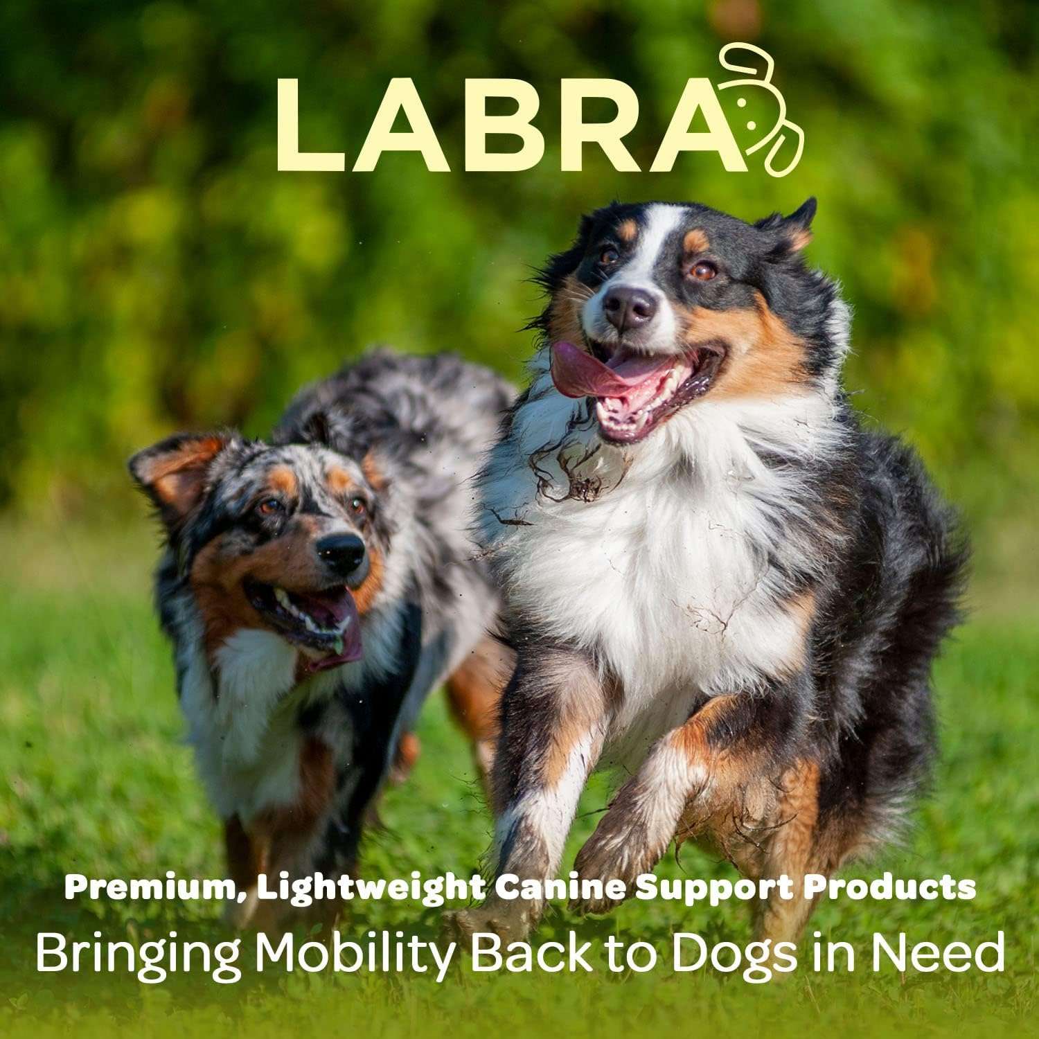 Soporte codo perro neopreno higromas artritis protector pata delantera anti lamido