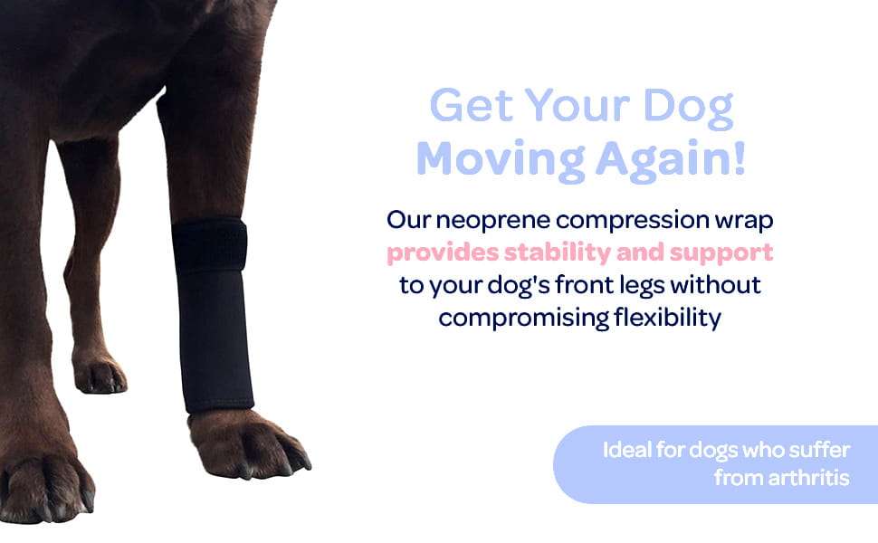 Soporte codo perro neopreno higromas artritis protector pata delantera anti lamido