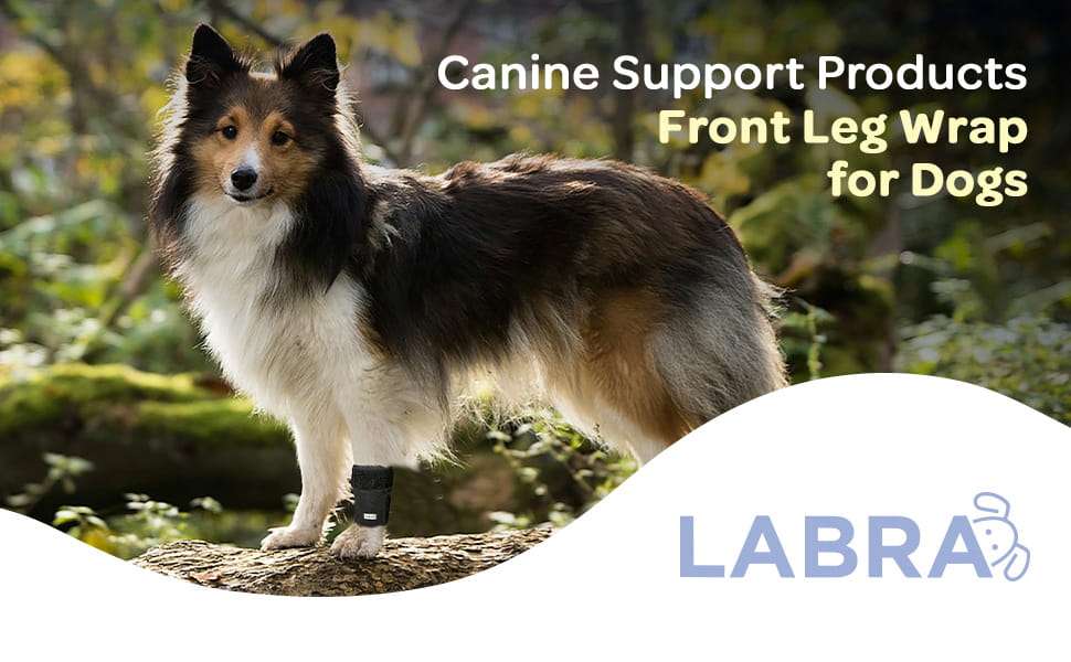Soporte codo perro neopreno higromas artritis protector pata delantera anti lamido