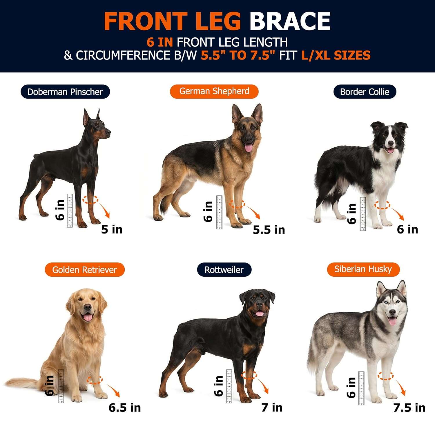 Soporte codo perro neopreno higromas artritis protector pata delantera anti lamido