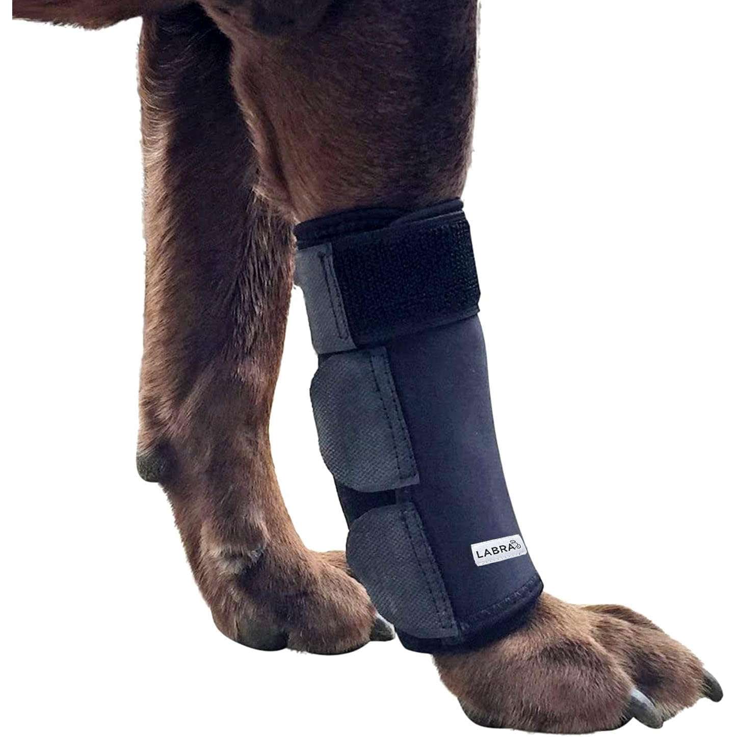Soporte codo perro neopreno higromas artritis protector pata delantera anti lamido
