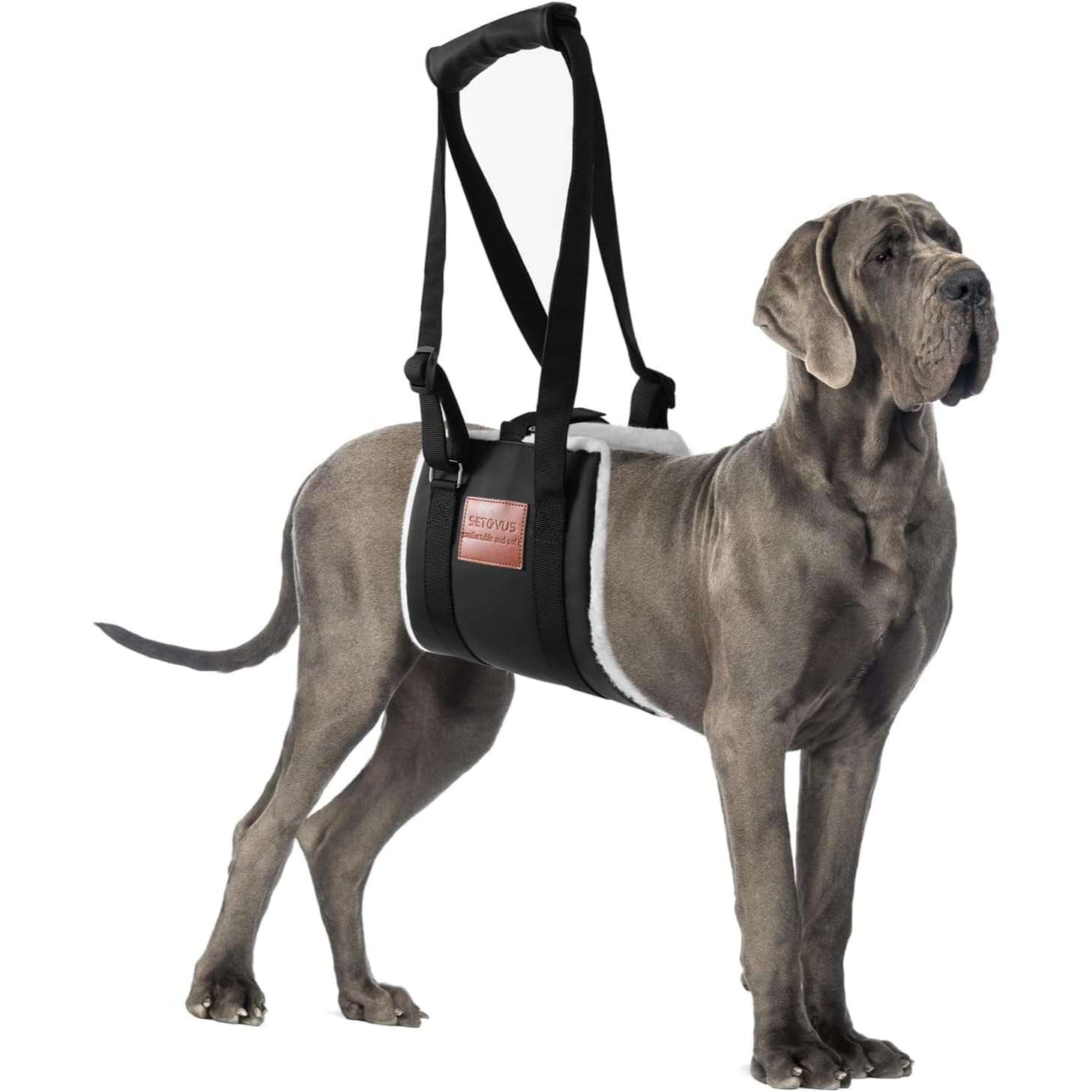 Arnes elevacion perro piel suave soporte patas traseras displasia cadera ayuda subir escaleras