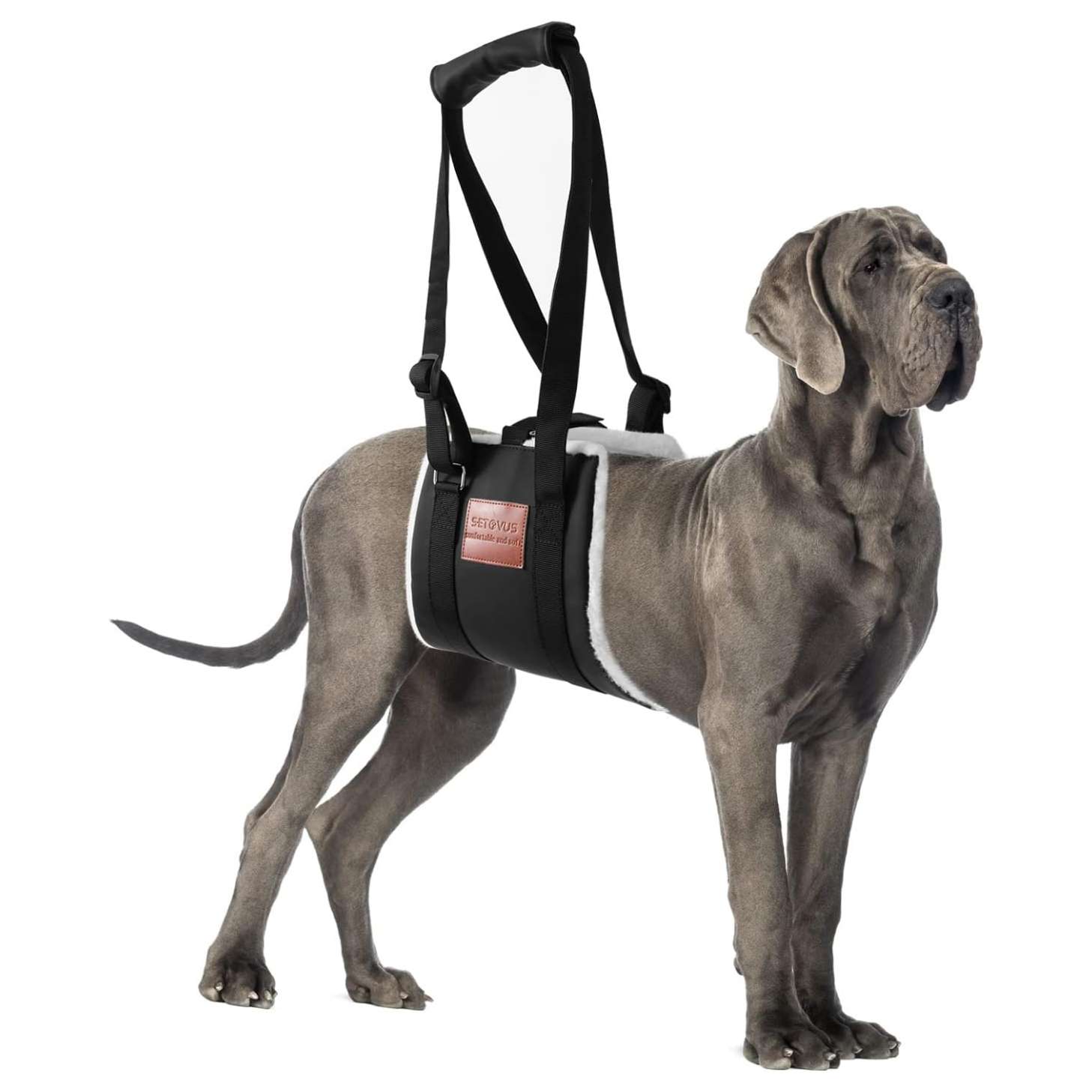 Arnes elevacion perro piel suave soporte patas traseras displasia cadera ayuda subir escaleras
