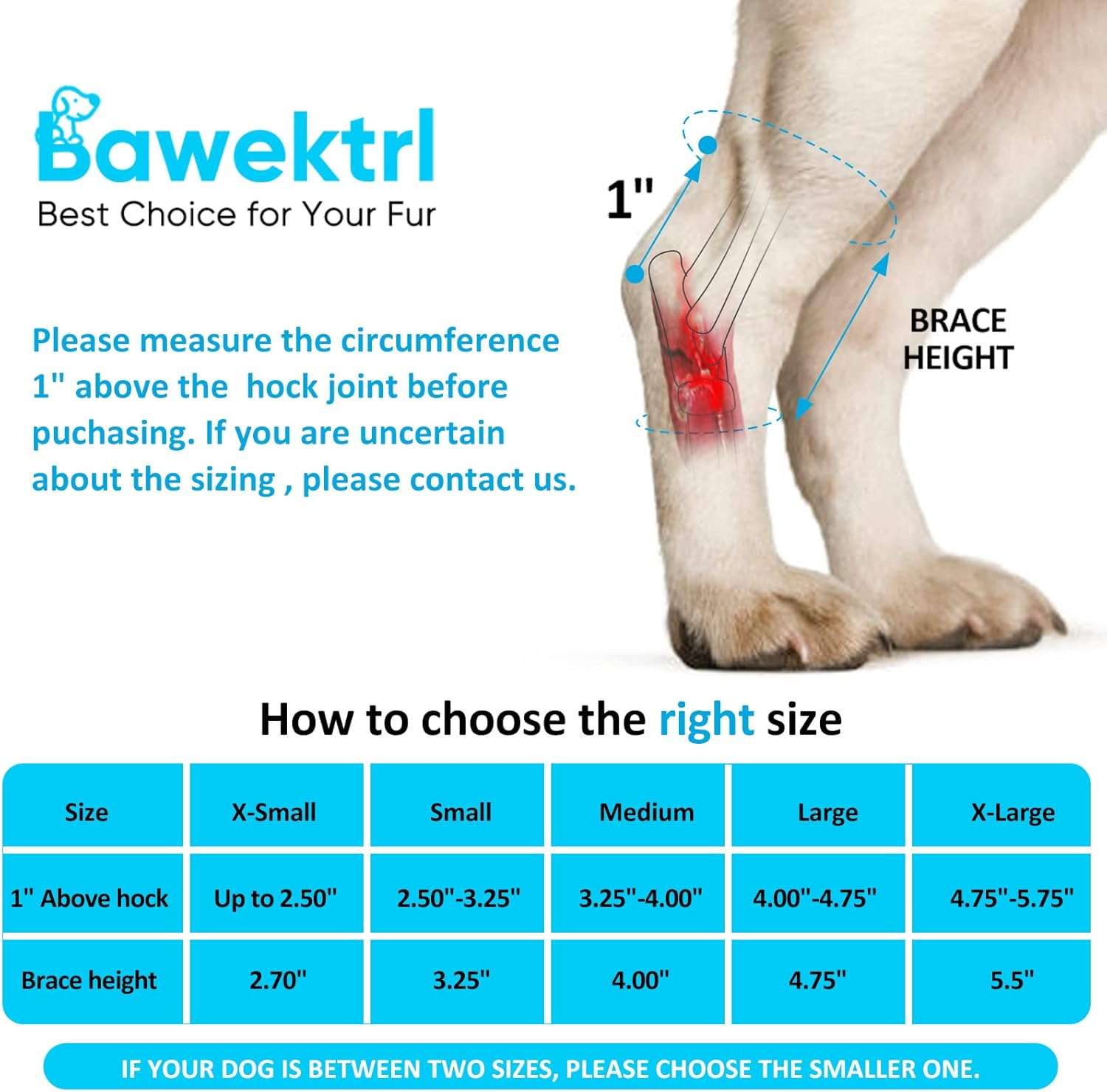 Ferula ortopedica perro pata trasera tobillo corvejon soporte metal artritis