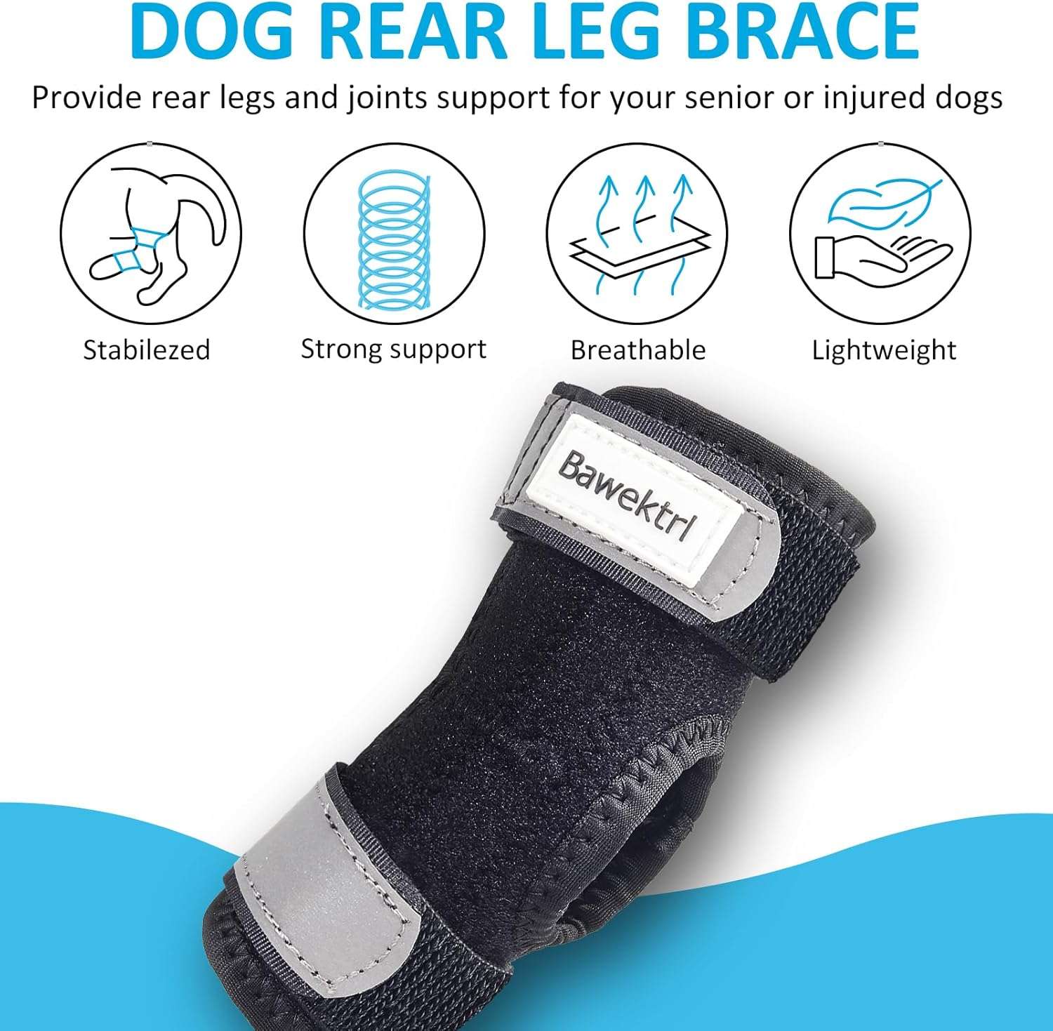 Ferula ortopedica perro pata trasera tobillo corvejon soporte metal artritis