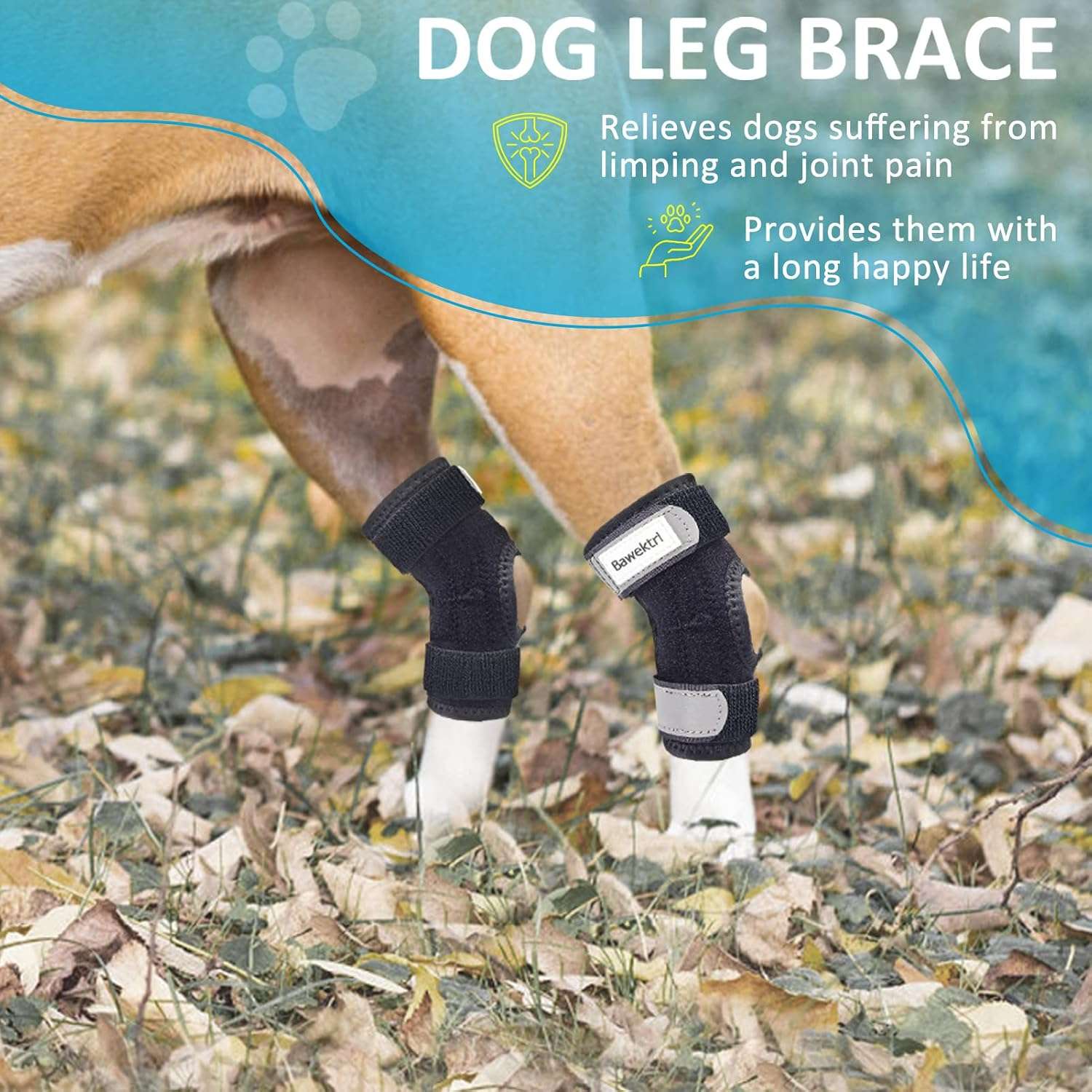 Ferula ortopedica perro pata trasera tobillo corvejon soporte metal artritis