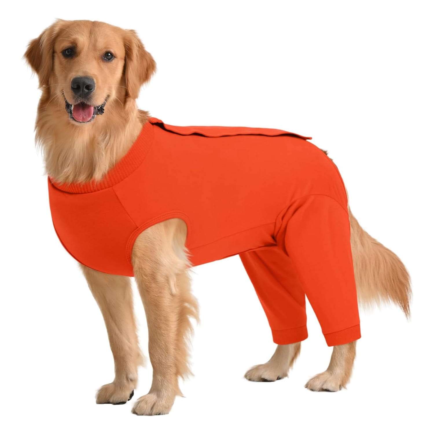 Traje recuperacion perro patas traseras pantalon post operatorio alternativa cono collar isabelino