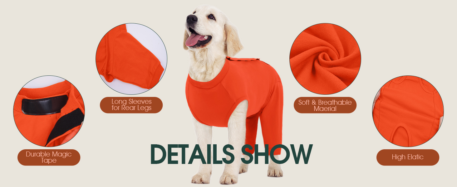 Traje recuperacion perro patas traseras pantalon post operatorio alternativa cono collar isabelino