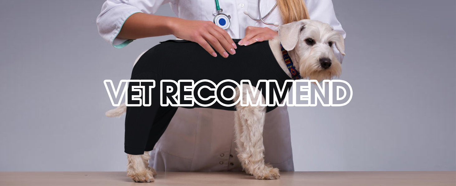 Traje recuperacion perro patas traseras pantalon post operatorio alternativa cono collar isabelino