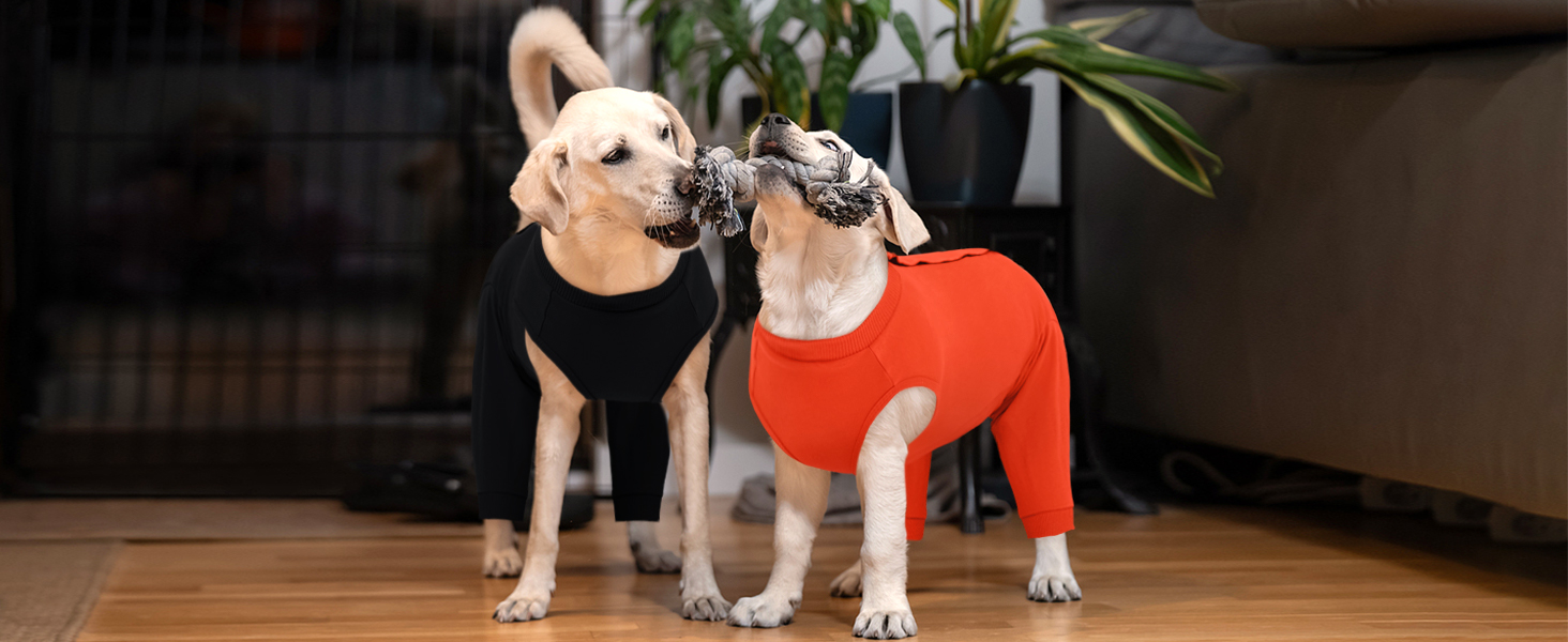 Traje recuperacion perro patas traseras pantalon post operatorio alternativa cono collar isabelino