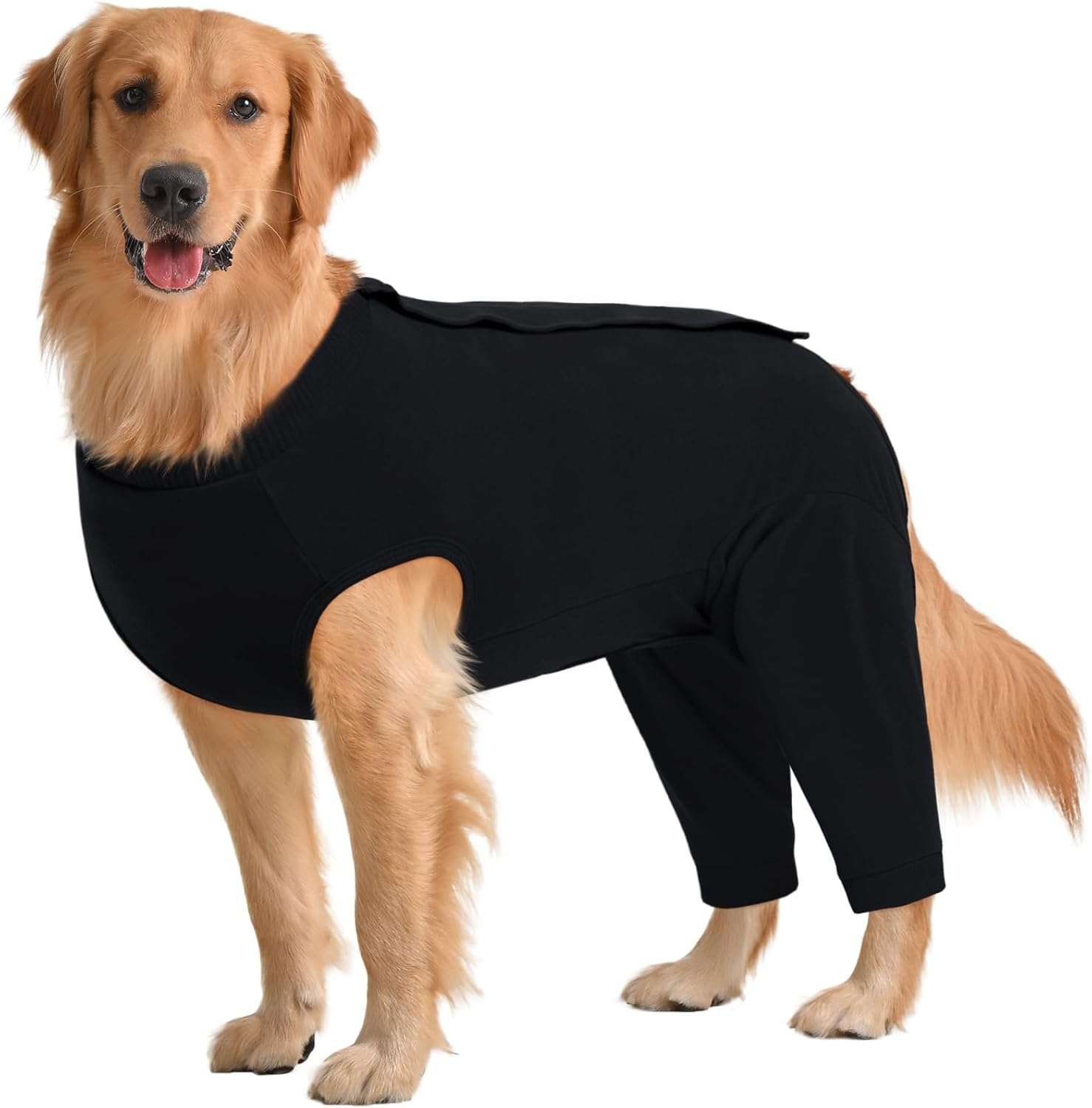 Traje recuperacion perro patas traseras pantalon post operatorio alternativa cono collar isabelino