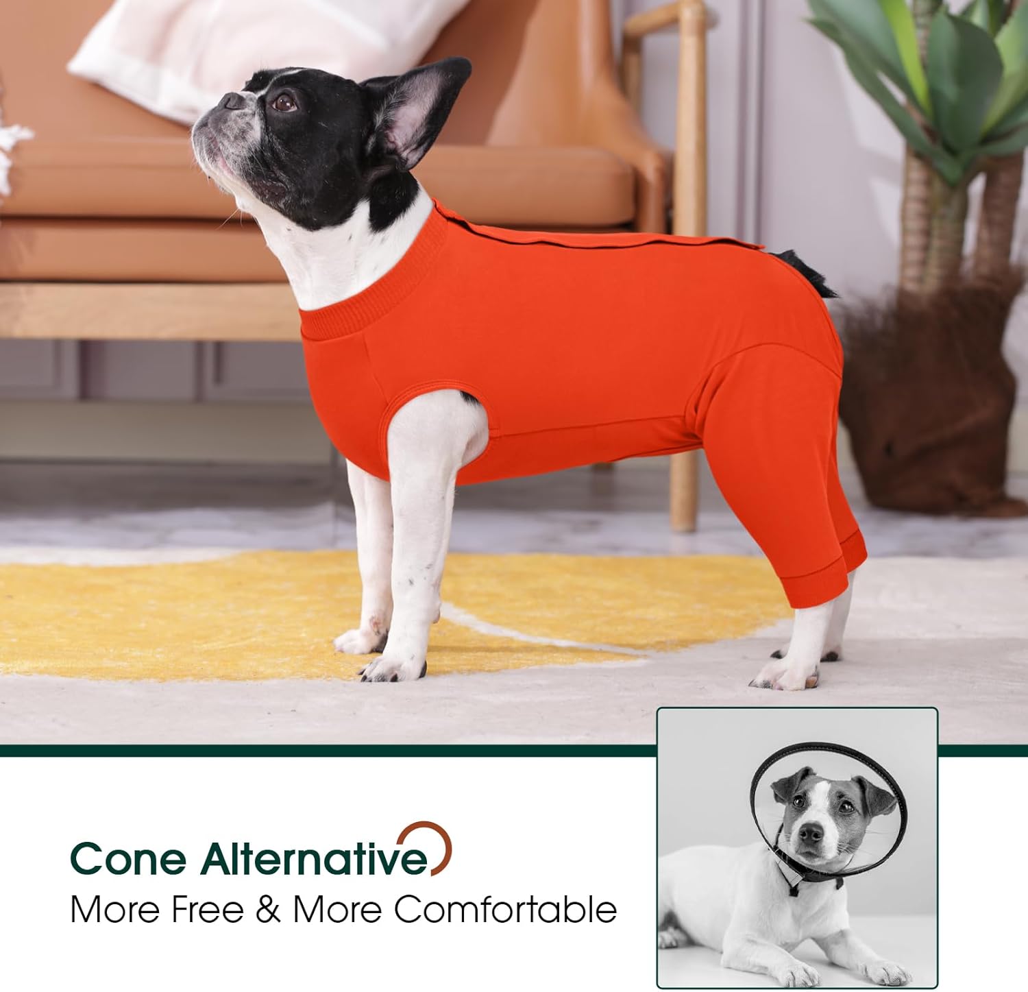 Traje recuperacion perro patas traseras pantalon post operatorio alternativa cono collar isabelino