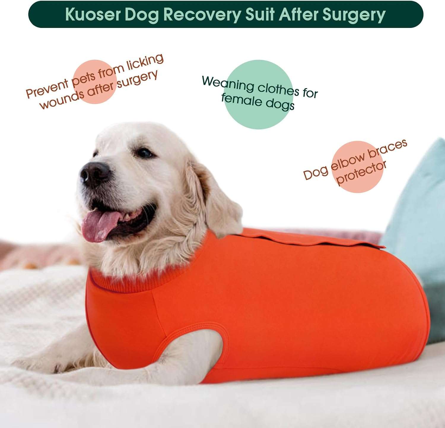 Traje recuperacion perro patas traseras pantalon post operatorio alternativa cono collar isabelino