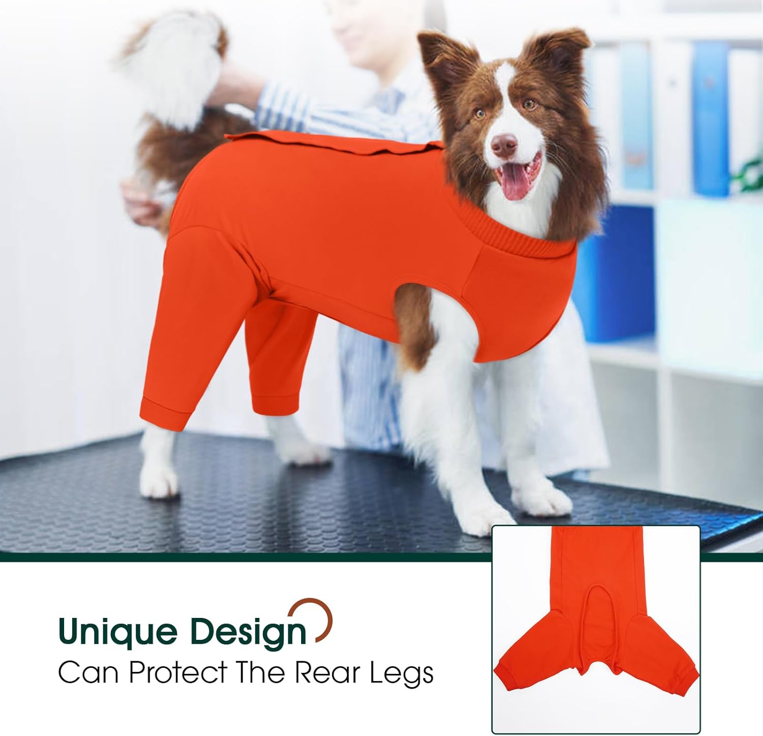 Traje recuperacion perro patas traseras pantalon post operatorio alternativa cono collar isabelino