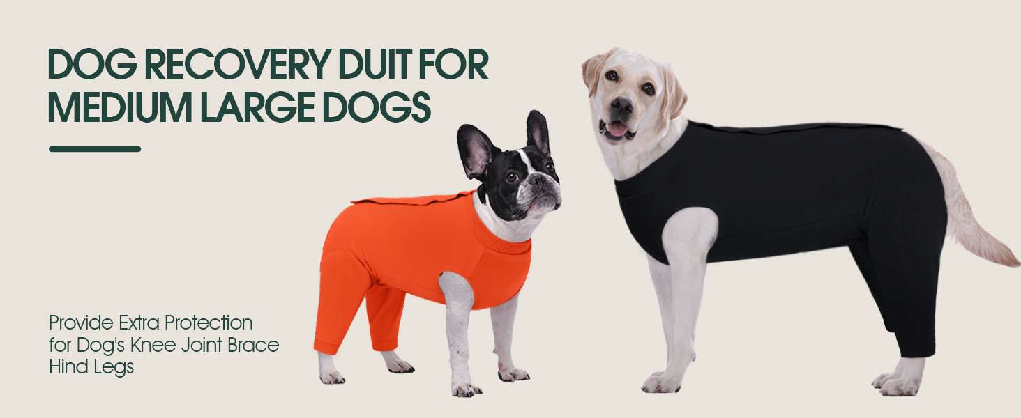 Traje recuperacion perro patas traseras pantalon post operatorio alternativa cono collar isabelino