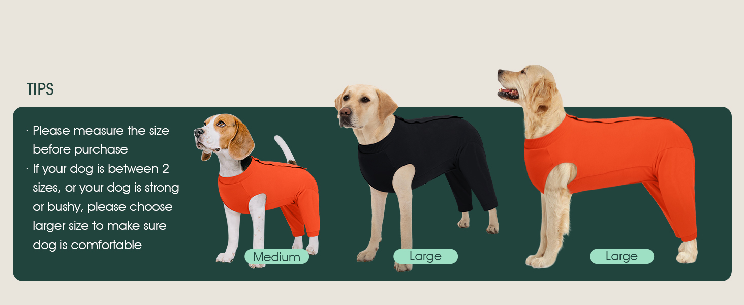 Traje recuperacion perro patas traseras pantalon post operatorio alternativa cono collar isabelino