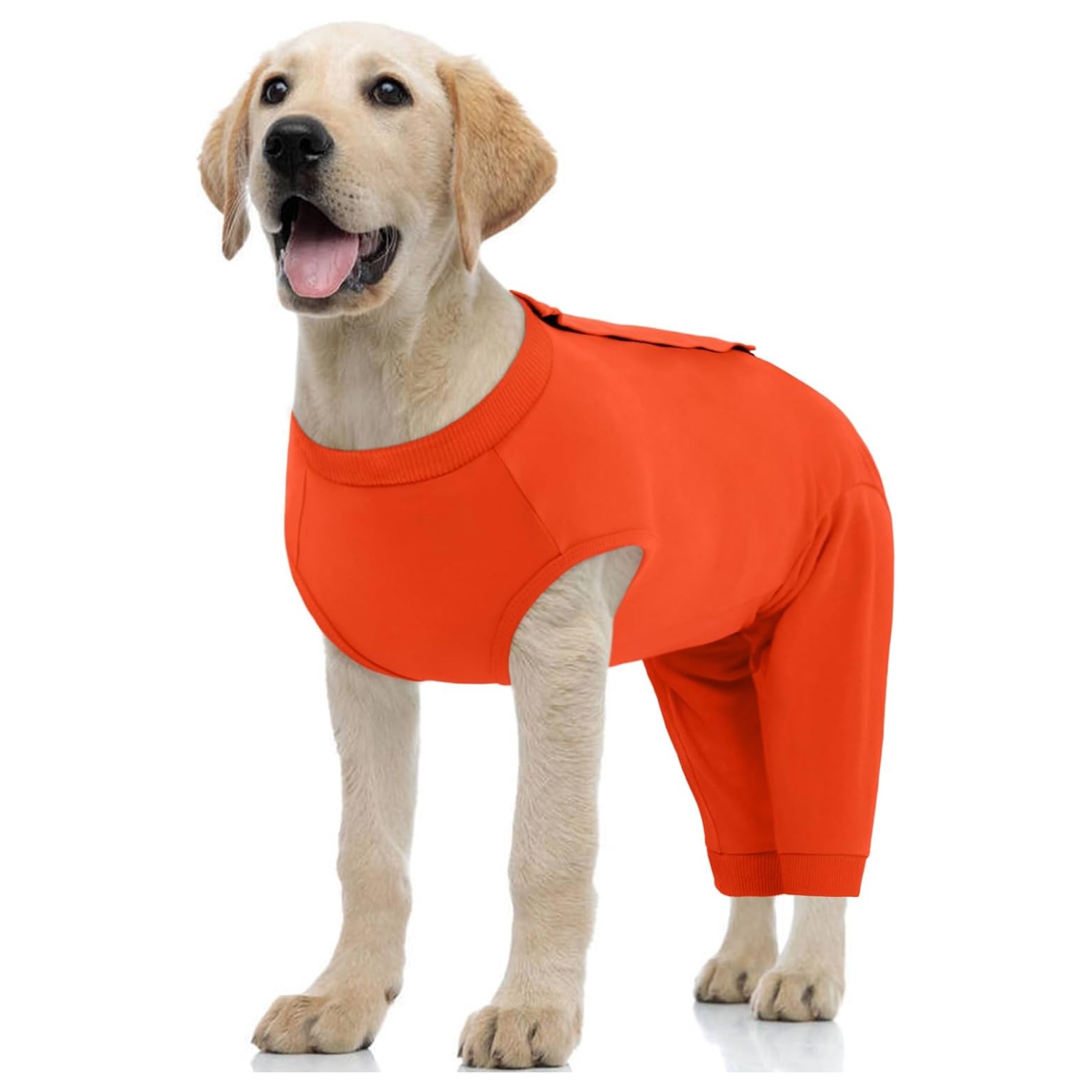 Traje recuperacion perro patas traseras pantalon post operatorio alternativa cono collar isabelino