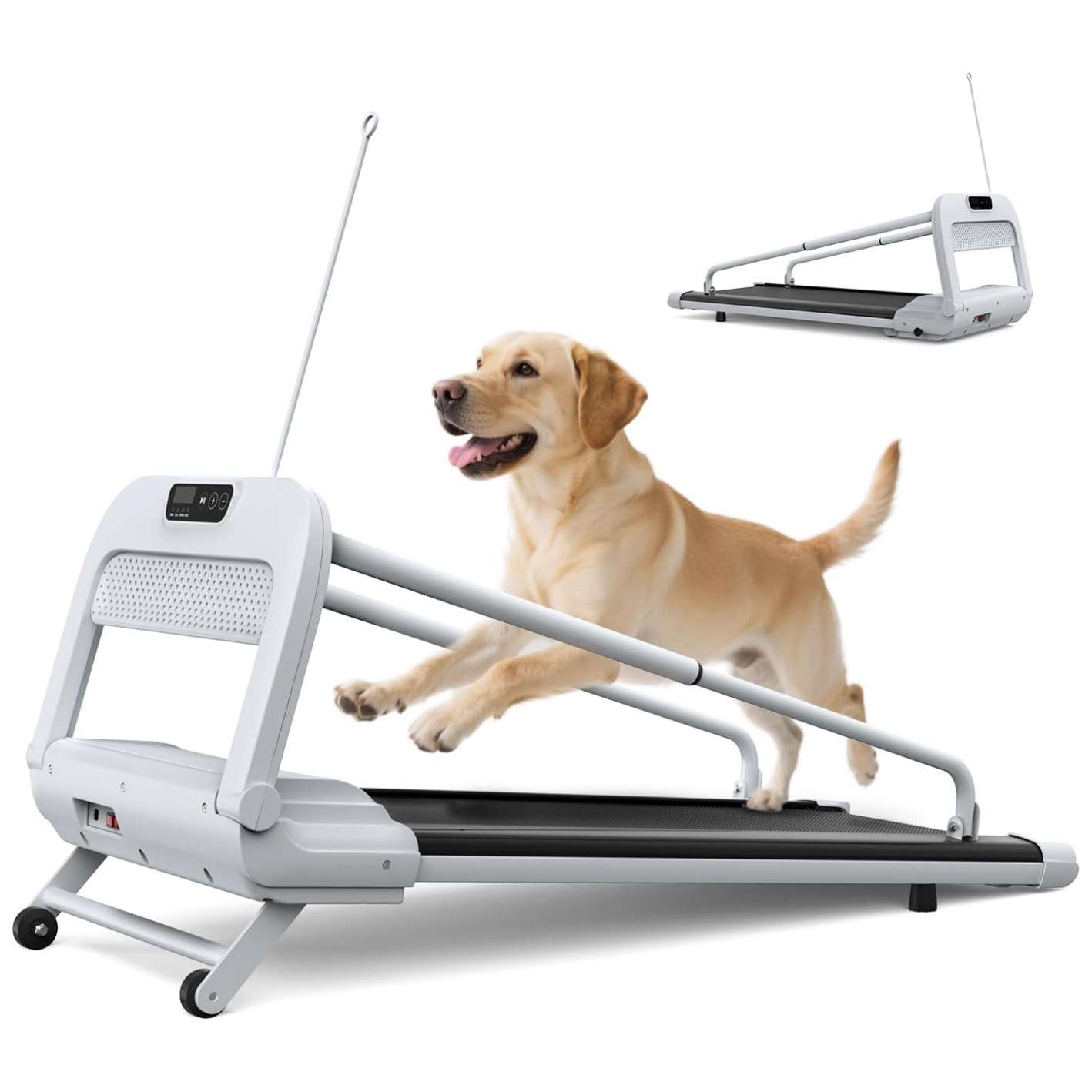 Trotadora electrica para perros 130x56 cm motor 2.5hp con inclinacion soporta 120kg