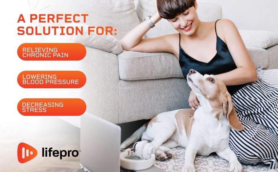 Trotadora electrica para perros pequeños y medianos silenciosa con control remoto pawrunner