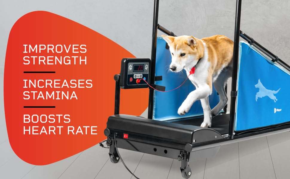 Trotadora electrica para perros pequeños y medianos silenciosa con control remoto pawrunner