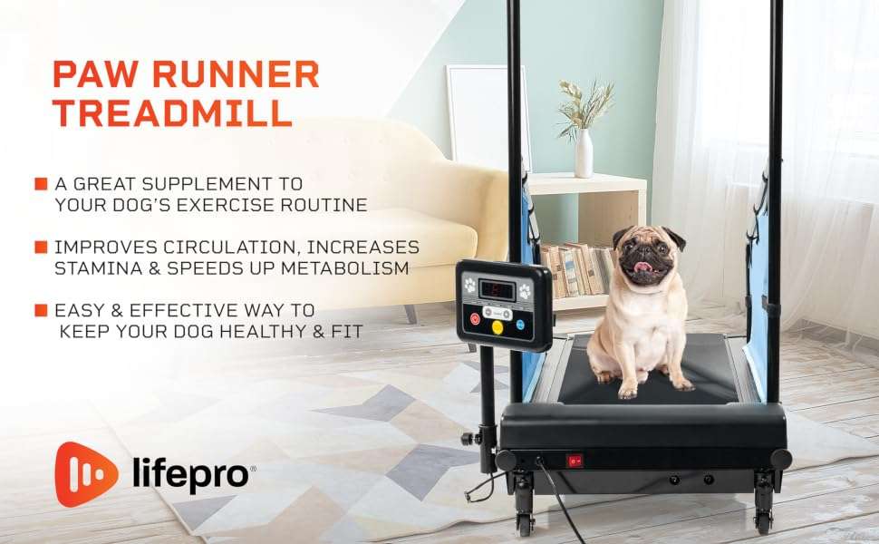 Trotadora electrica para perros pequeños y medianos silenciosa con control remoto pawrunner