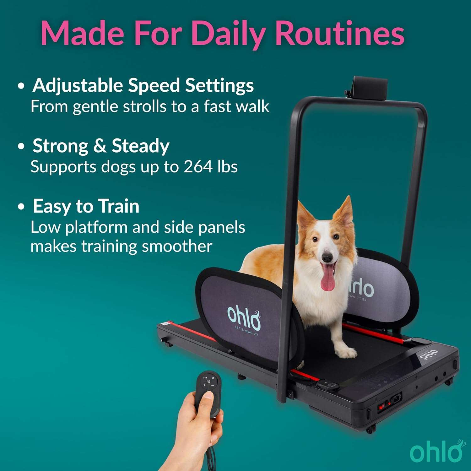 Trotadora electrica plana para perros 125x55x12 cm cabe bajo la cama soporta 120kg