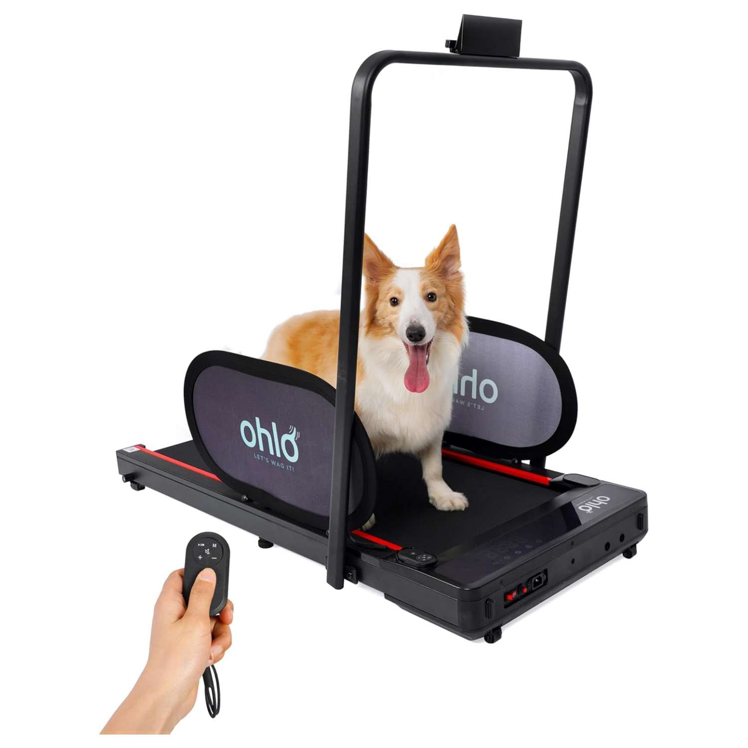 Trotadora electrica plana para perros 125x55x12 cm cabe bajo la cama soporta 120kg