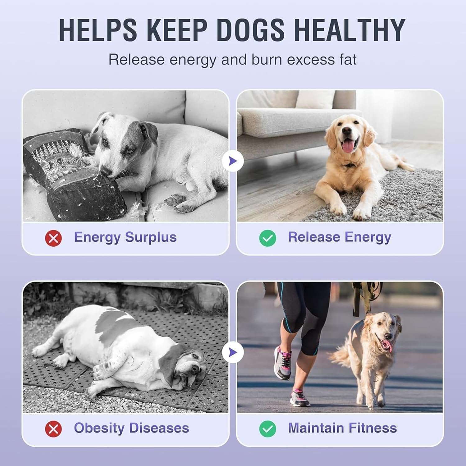 Trotadora mecanica para perros con inclinacion ajustable freno y podometro sin motor