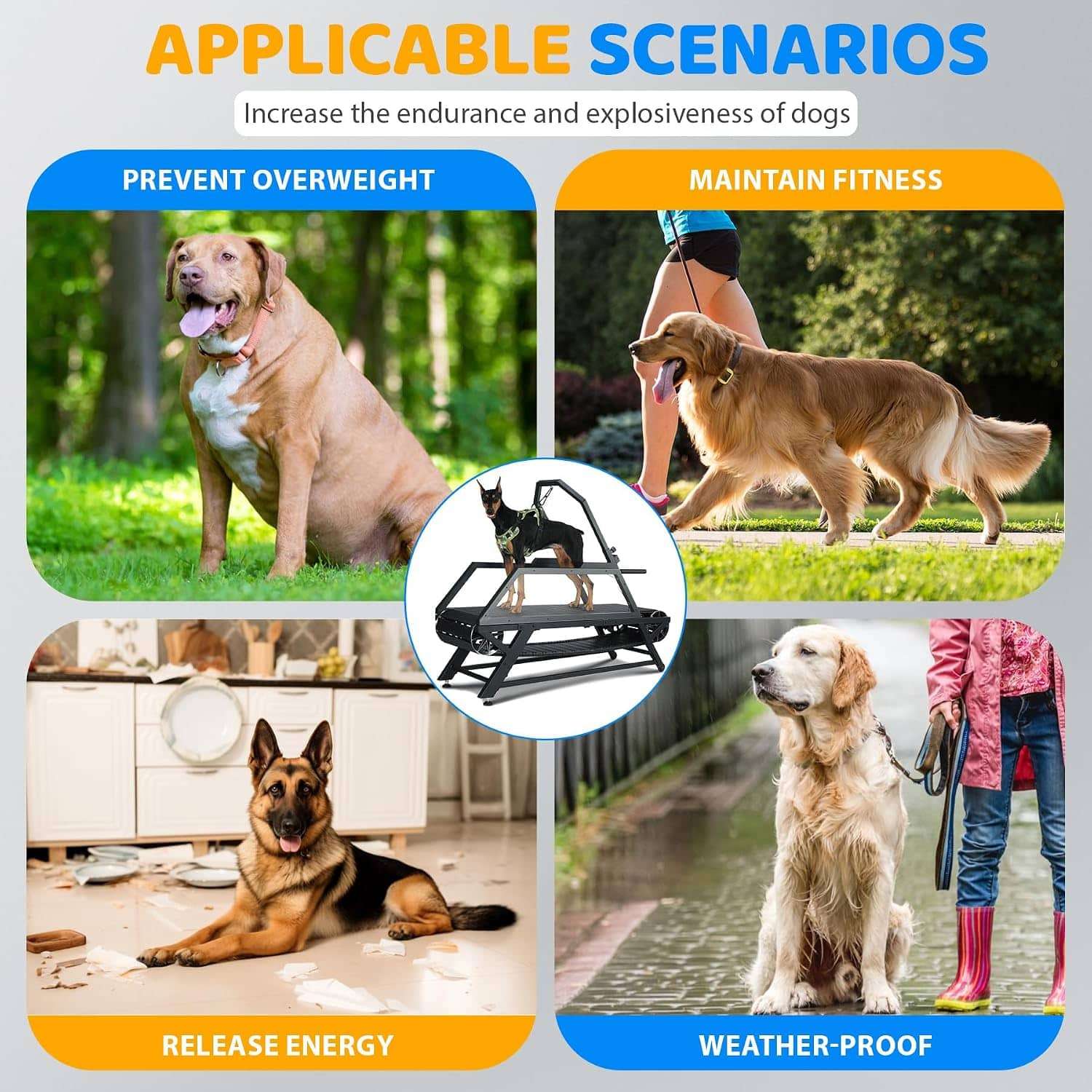 Trotadora slatmill perros grandes sin motor 168cm acero soporta 136kg