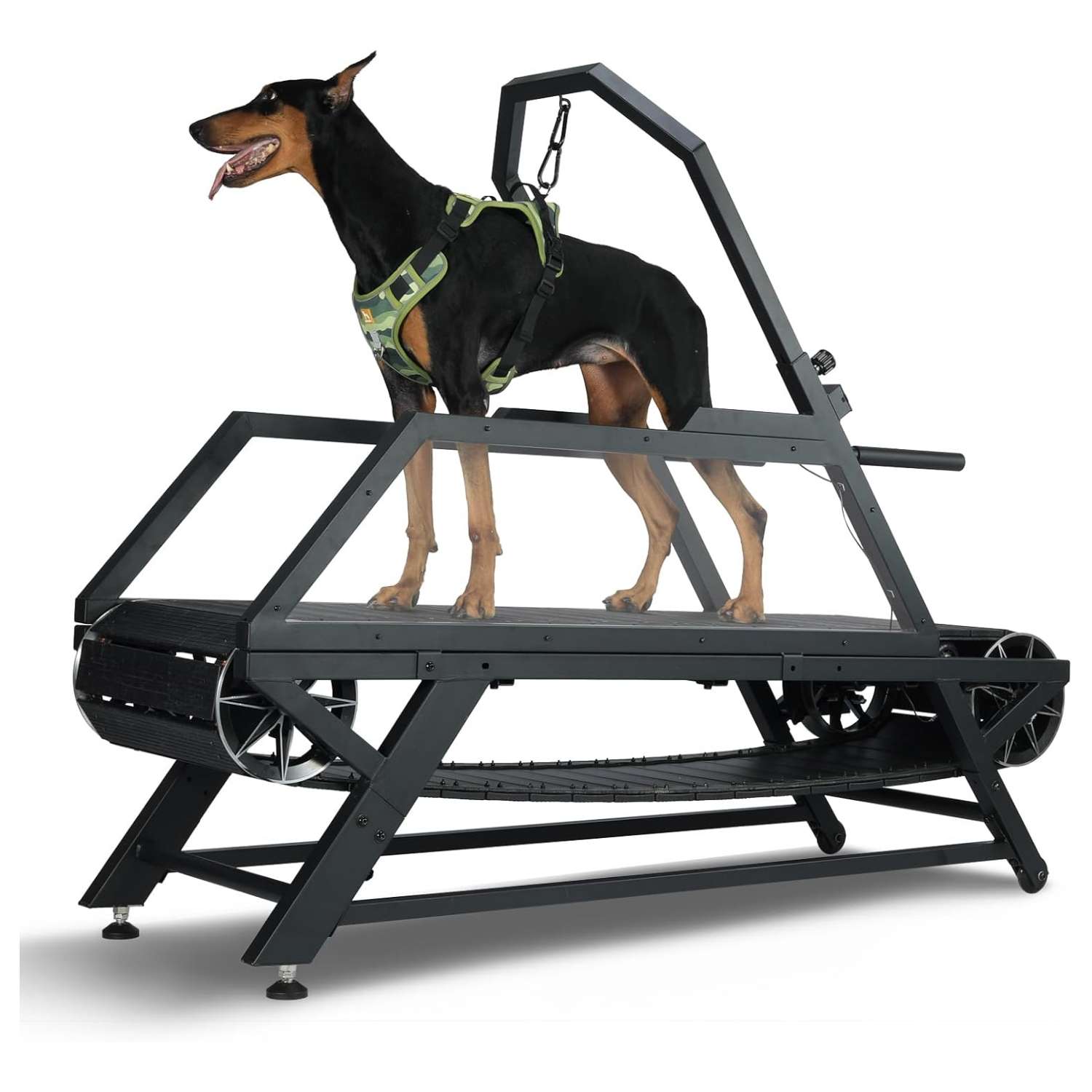 Trotadora slatmill perros grandes sin motor 168cm acero soporta 136kg