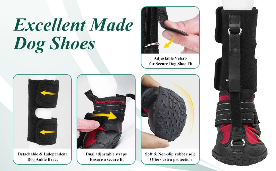 Zapato ortopedico perro anti arrastre pie caido knuckling corrector pisada IVDD artritis