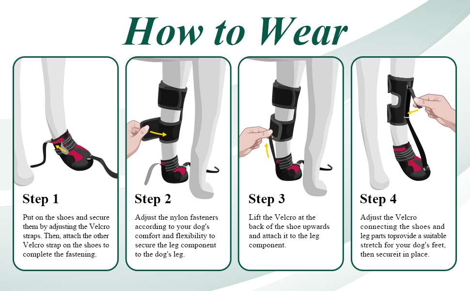 Zapato ortopedico perro anti arrastre pie caido knuckling corrector pisada IVDD artritis