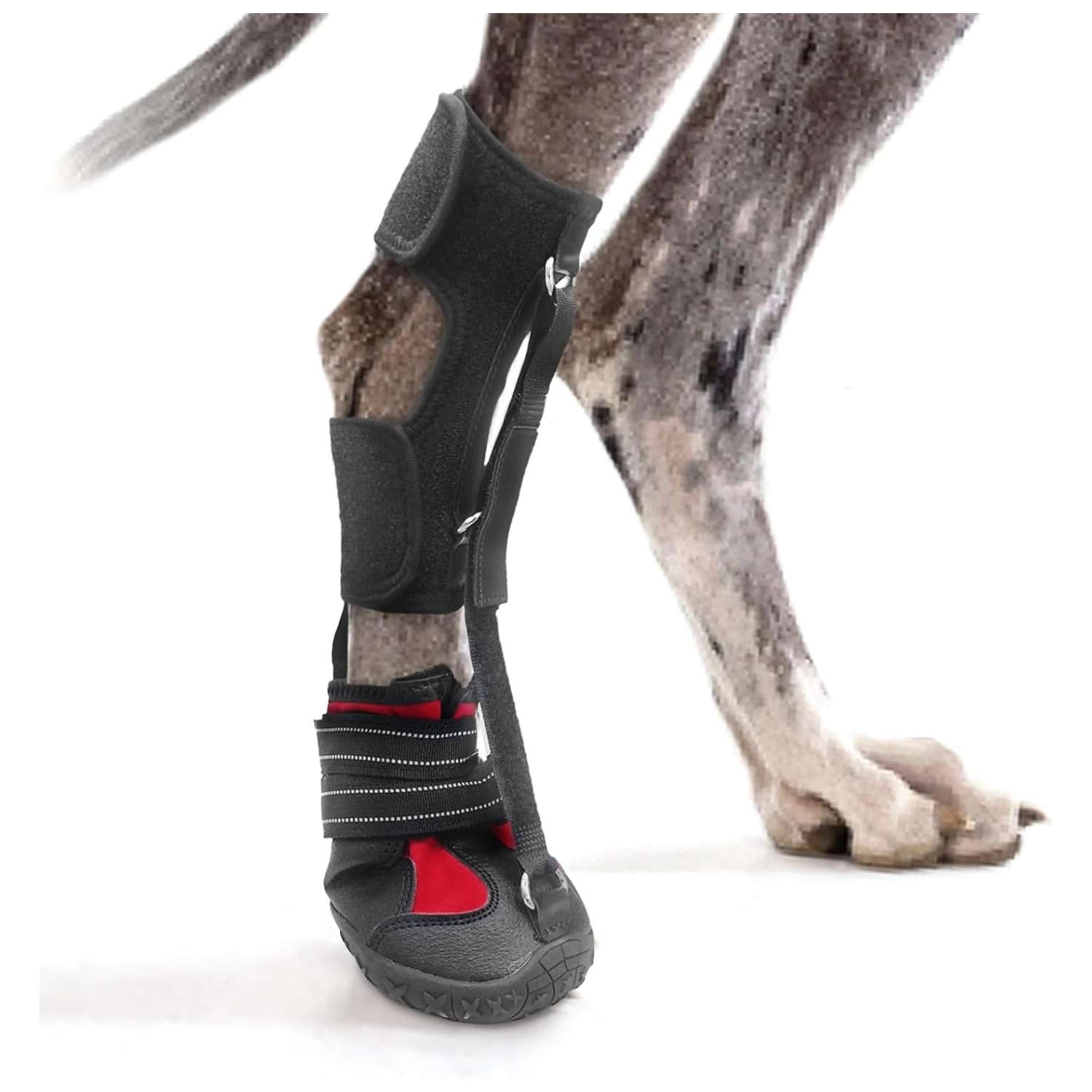 Zapato ortopedico perro anti arrastre pie caido knuckling corrector pisada IVDD artritis