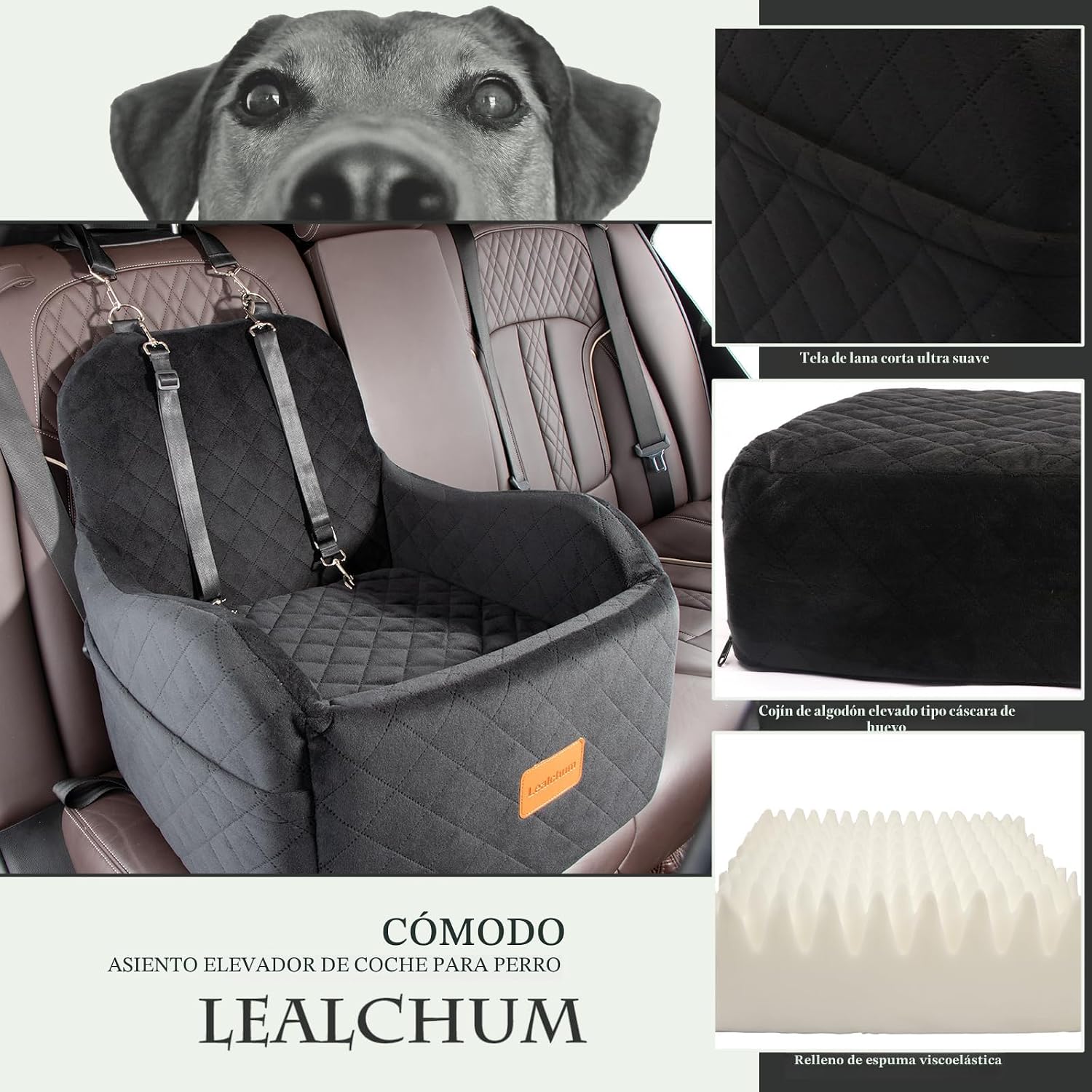 Asiento elevado auto perro 48x48x48 cm vista panoramica bulldog frances pug hasta 14kg anti mareo cubo