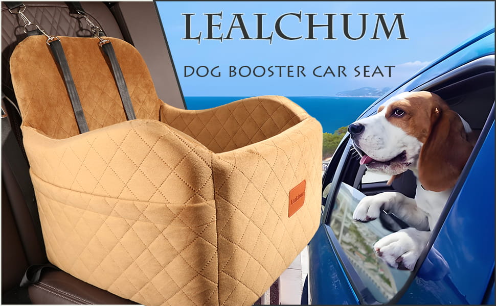 Asiento elevado auto perro 48x48x48 cm vista panoramica bulldog frances pug hasta 14kg anti mareo cubo