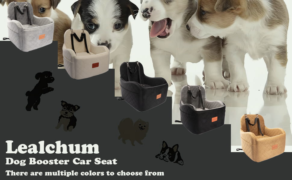 Asiento elevado auto perro 48x48x48 cm vista panoramica bulldog frances pug hasta 14kg anti mareo cubo