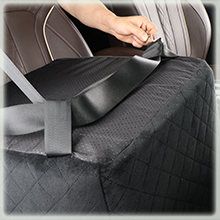 Asiento elevado auto perro 48x48x48 cm vista panoramica bulldog frances pug hasta 14kg anti mareo cubo