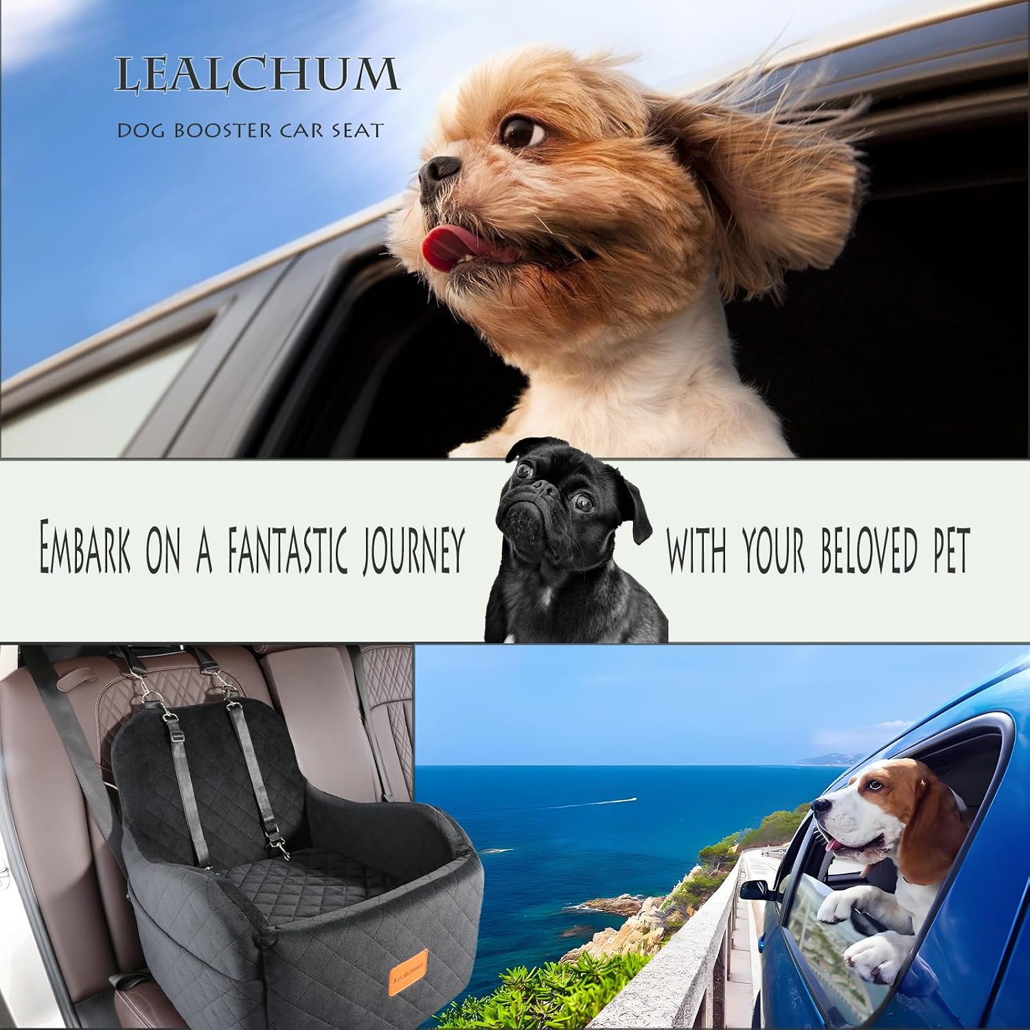 Asiento elevado auto perro 48x48x48 cm vista panoramica bulldog frances pug hasta 14kg anti mareo cubo
