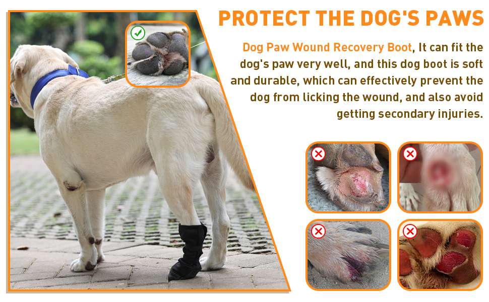 Bota recuperacion perro heridas pata almohadilla zapato medico transpirable anti lamido antideslizante