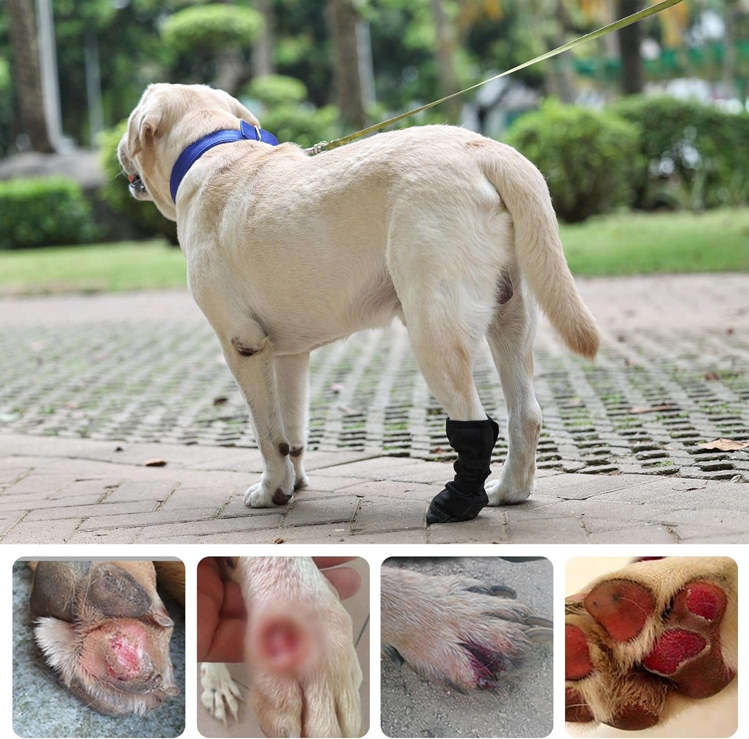 Bota recuperacion perro heridas pata almohadilla zapato medico transpirable anti lamido antideslizante