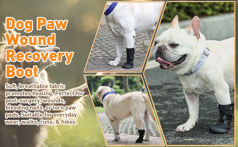 Bota recuperacion perro heridas pata almohadilla zapato medico transpirable anti lamido antideslizante