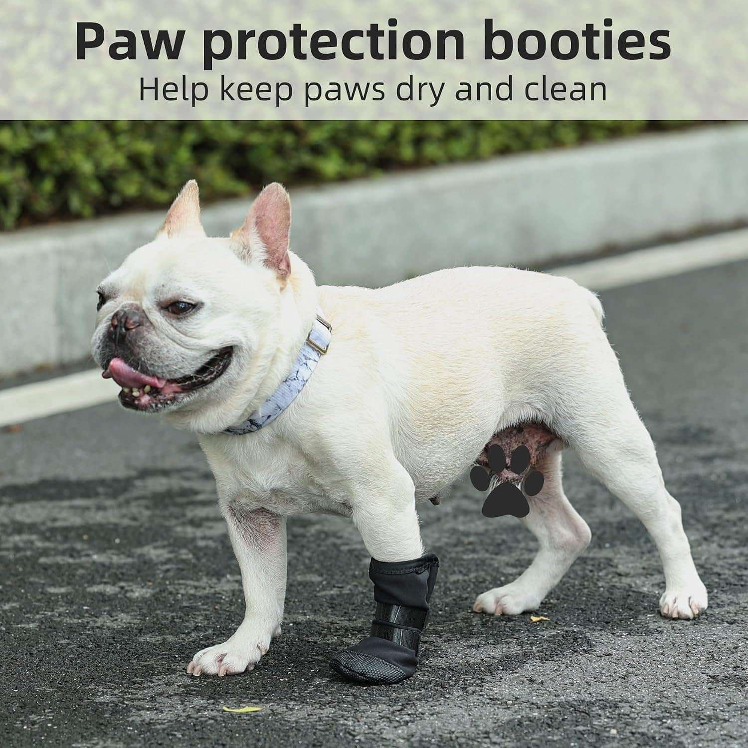 Bota recuperacion perro heridas pata almohadilla zapato medico transpirable anti lamido antideslizante