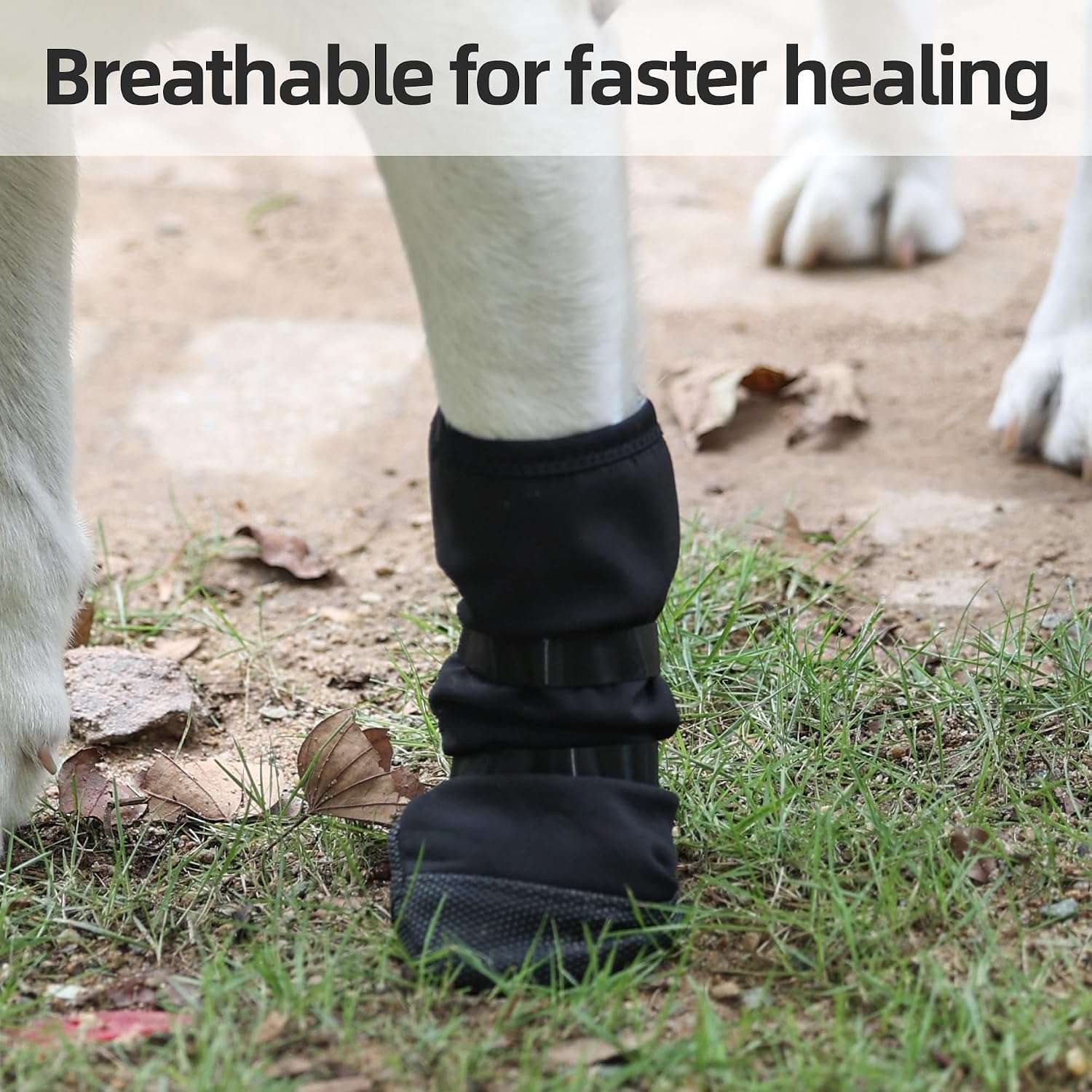 Bota recuperacion perro heridas pata almohadilla zapato medico transpirable anti lamido antideslizante