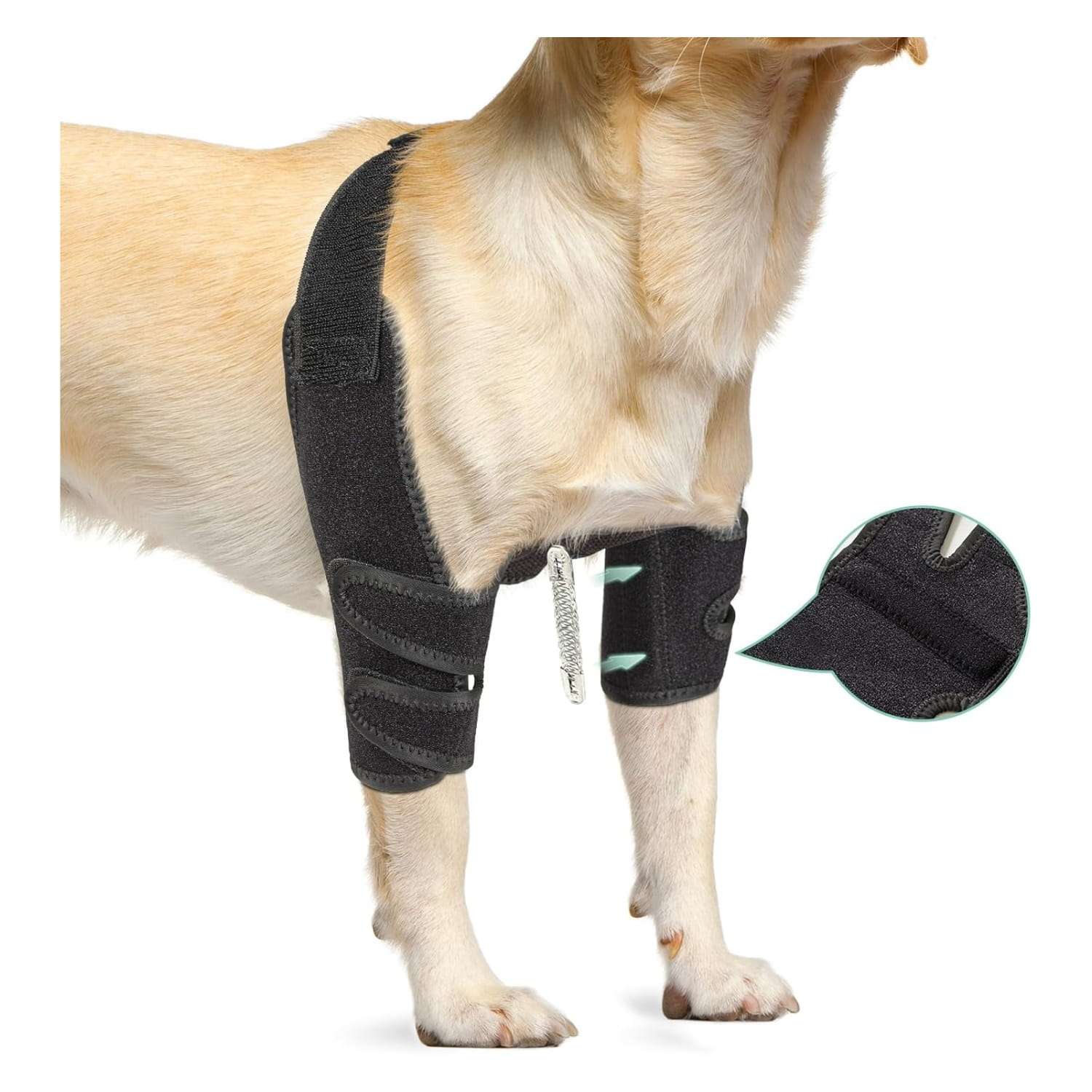Codera ortopedica perro doble higroma callos displasia soporte hombro resortes metalicos