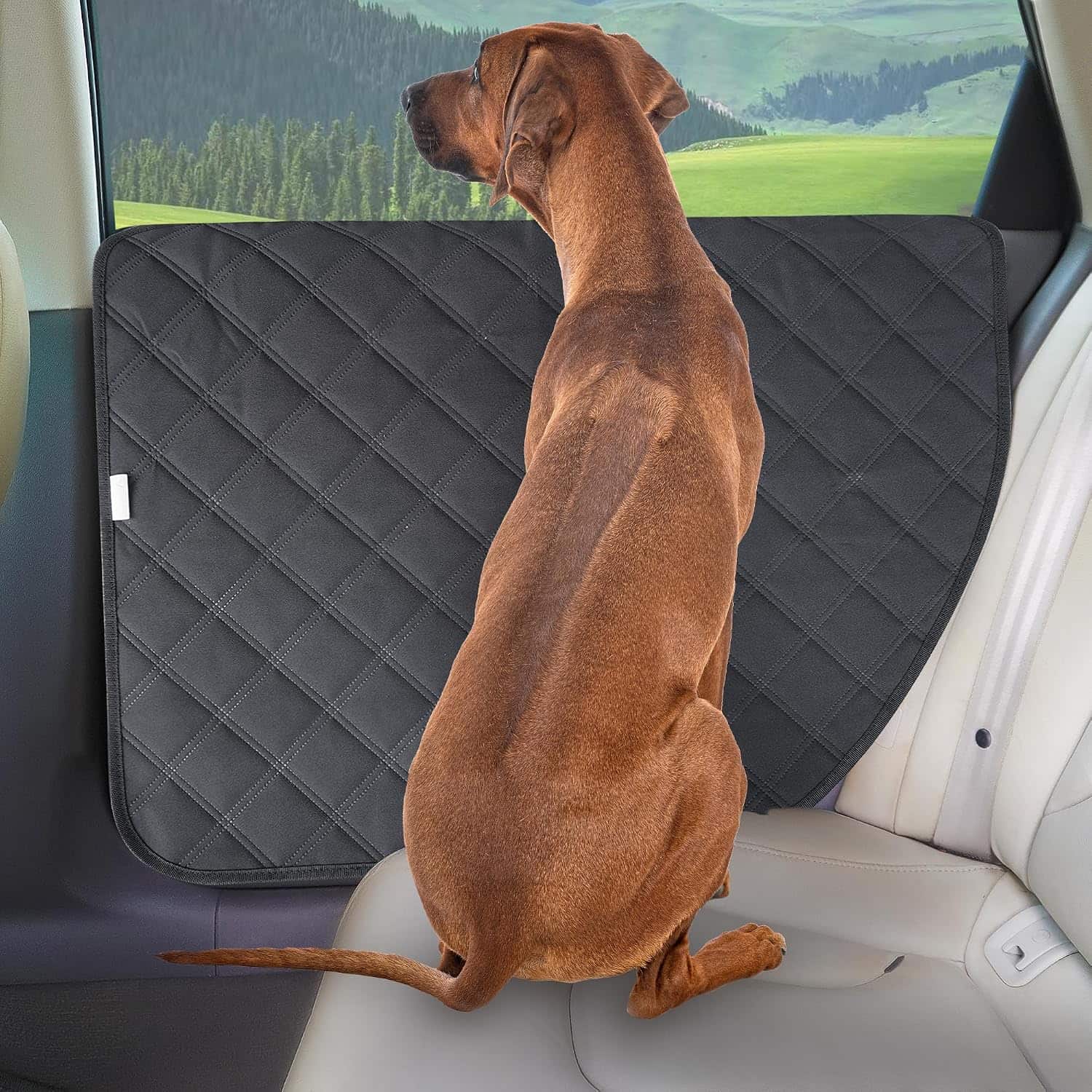 Pack 2 protectores puerta camioneta SUV perro XL 79x71 cm anti rasguños impermeable correa apoyabrazos
