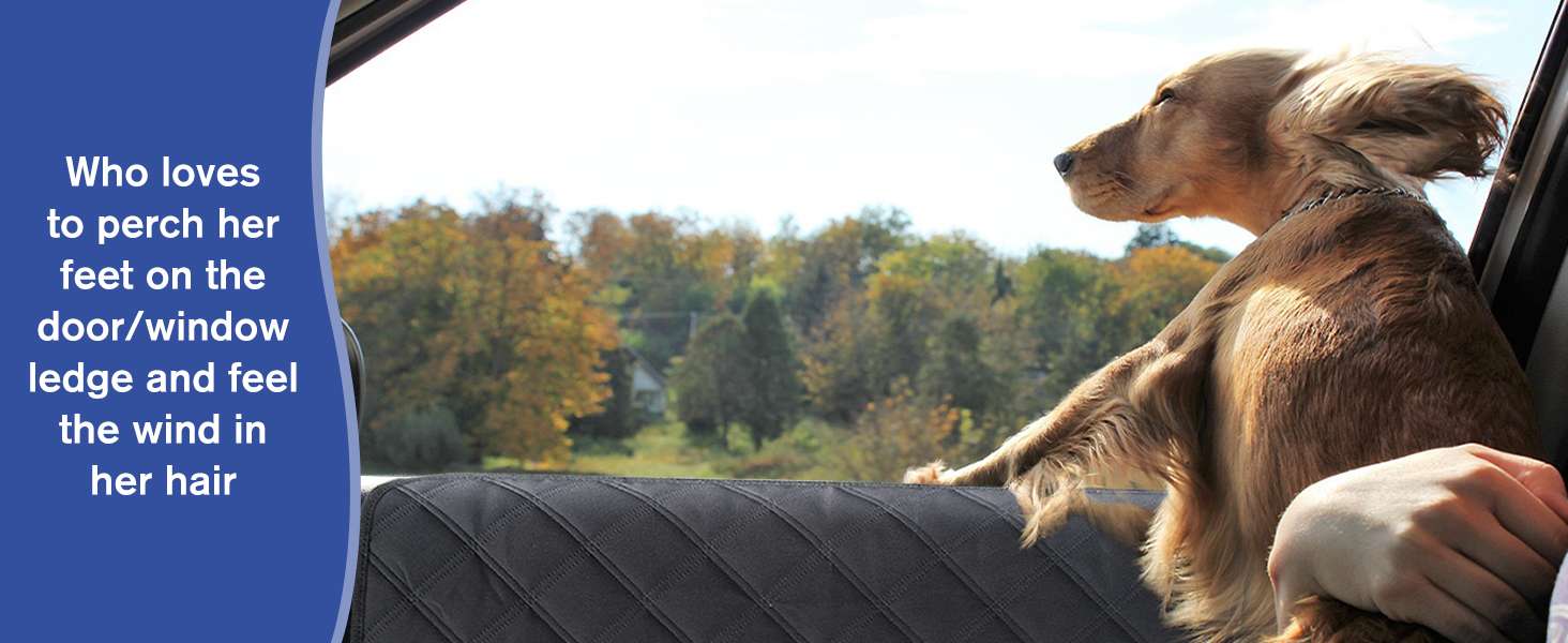 Pack 2 protectores puerta camioneta SUV perro XL 79x71 cm anti rasguños impermeable correa apoyabrazos