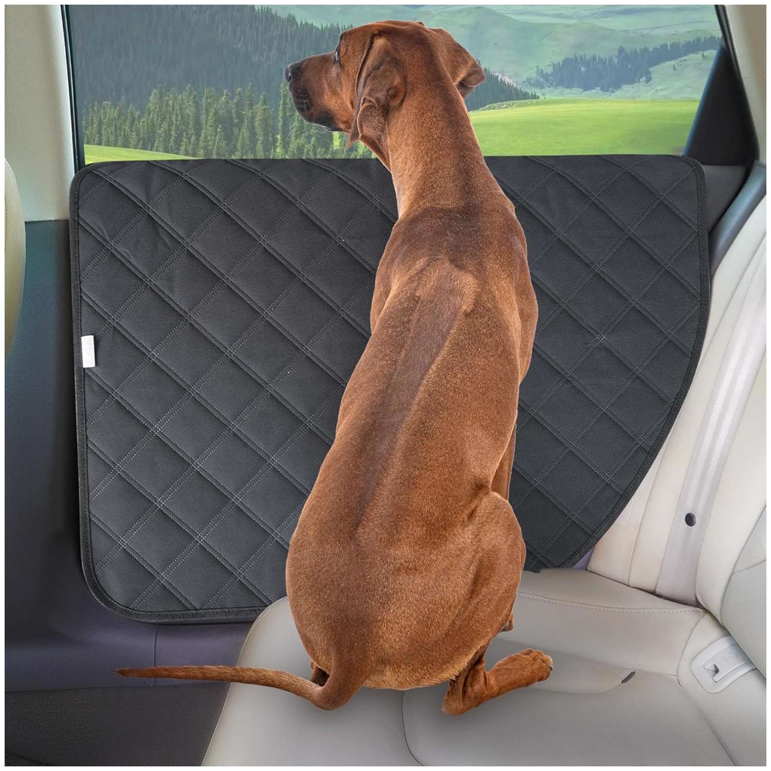 Pack 2 protectores puerta camioneta SUV perro XL 79x71 cm anti rasguños impermeable correa apoyabrazos