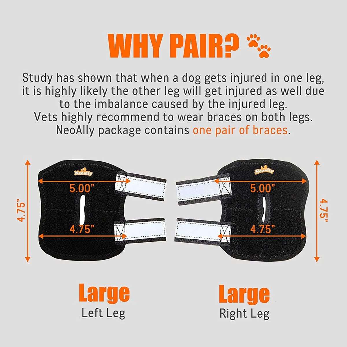 Ferula soporte corvejon perro resortes metal tobillo trasero artritis esguince reflecante