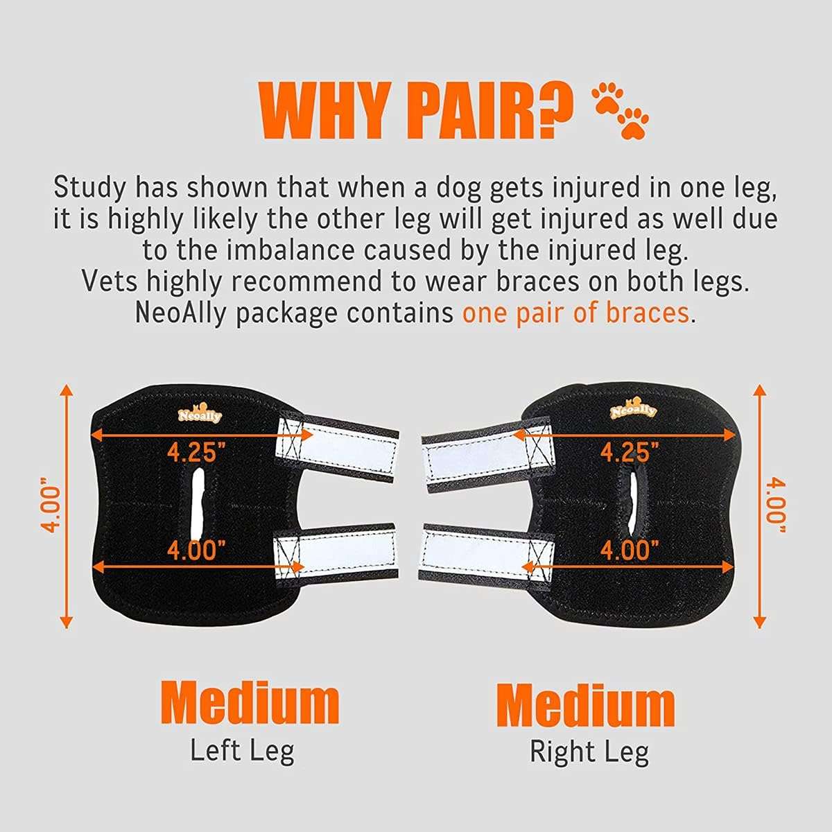 Ferula soporte corvejon perro resortes metal tobillo trasero artritis esguince reflecante