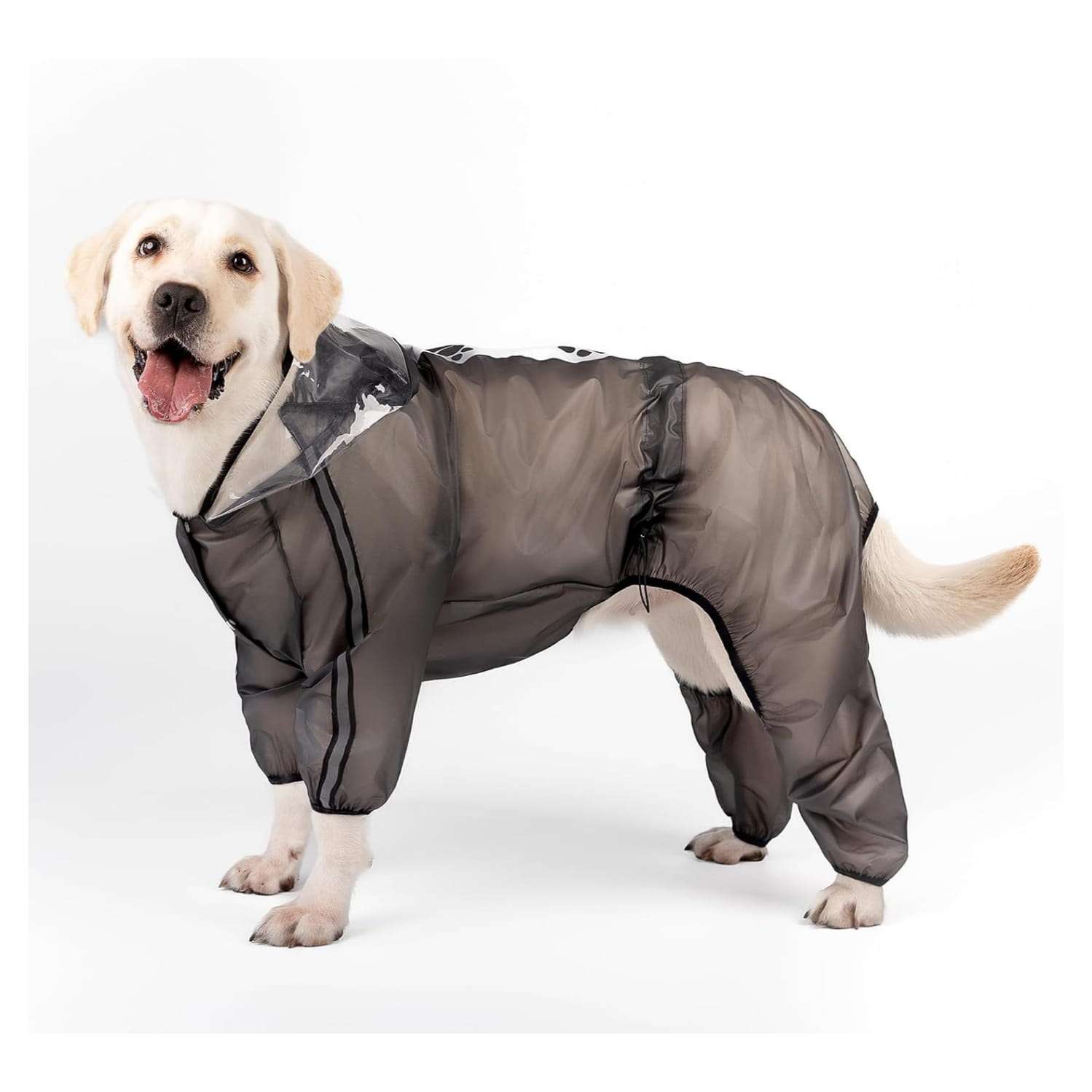 Impermeable transparente perro grande gigante cuerpo completo 4 patas capucha golden retriever gran danes